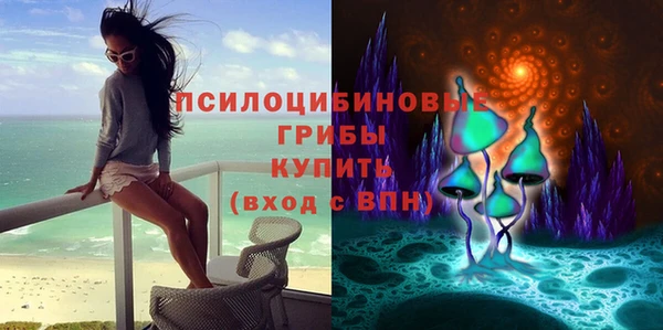 спайс Кодинск
