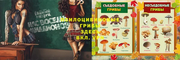 мяу мяу мука Арсеньев